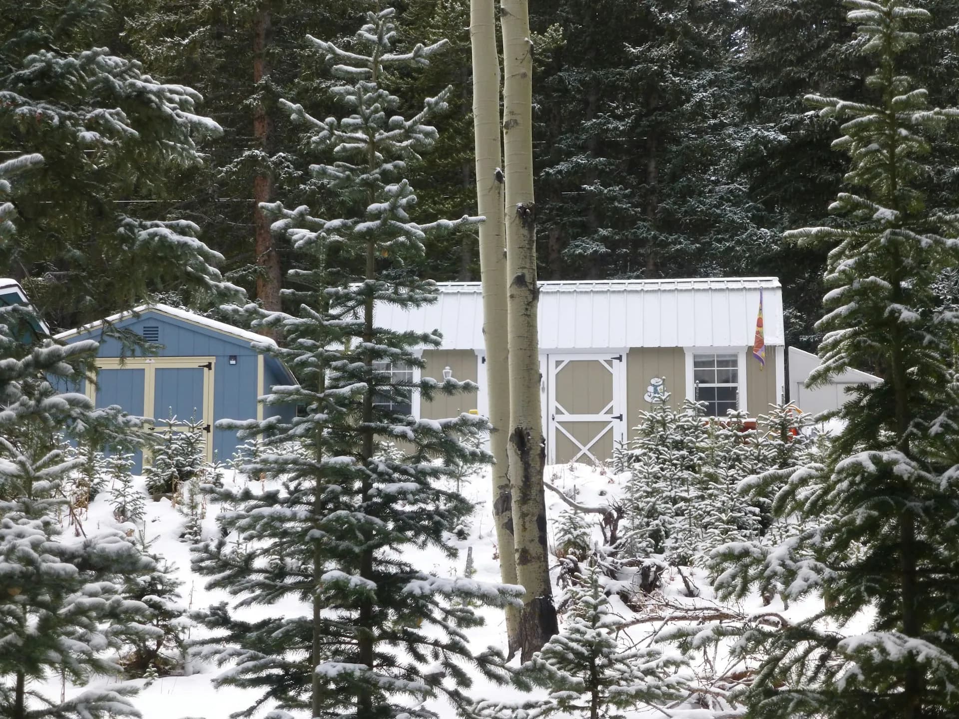 Mountain home surrounded by snowy pine trees in Evergreen Colorado