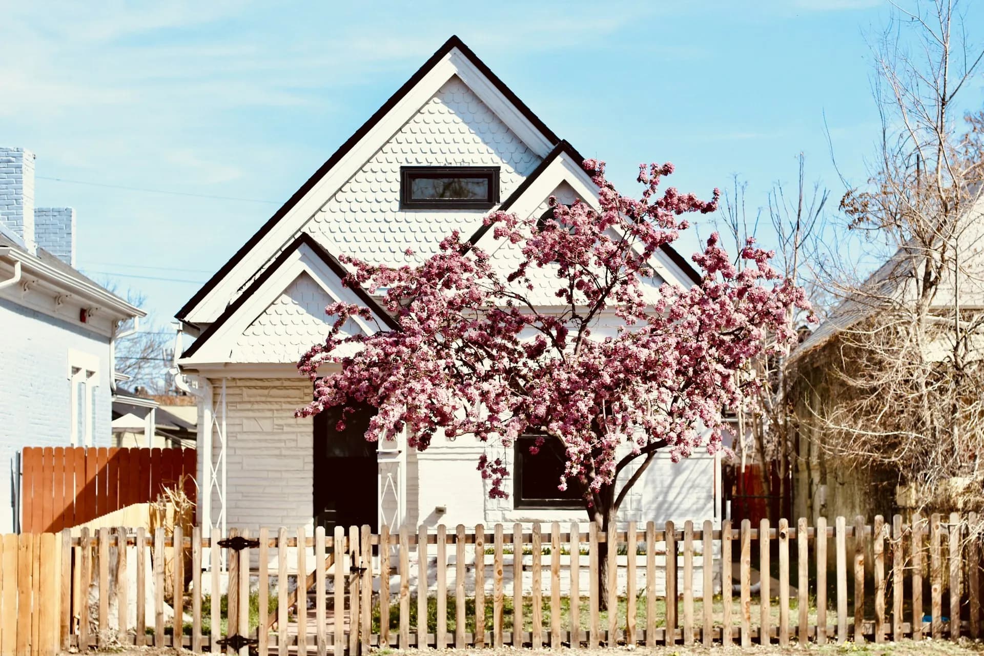 Charming white home with spring blossoms in Littleton Colorado