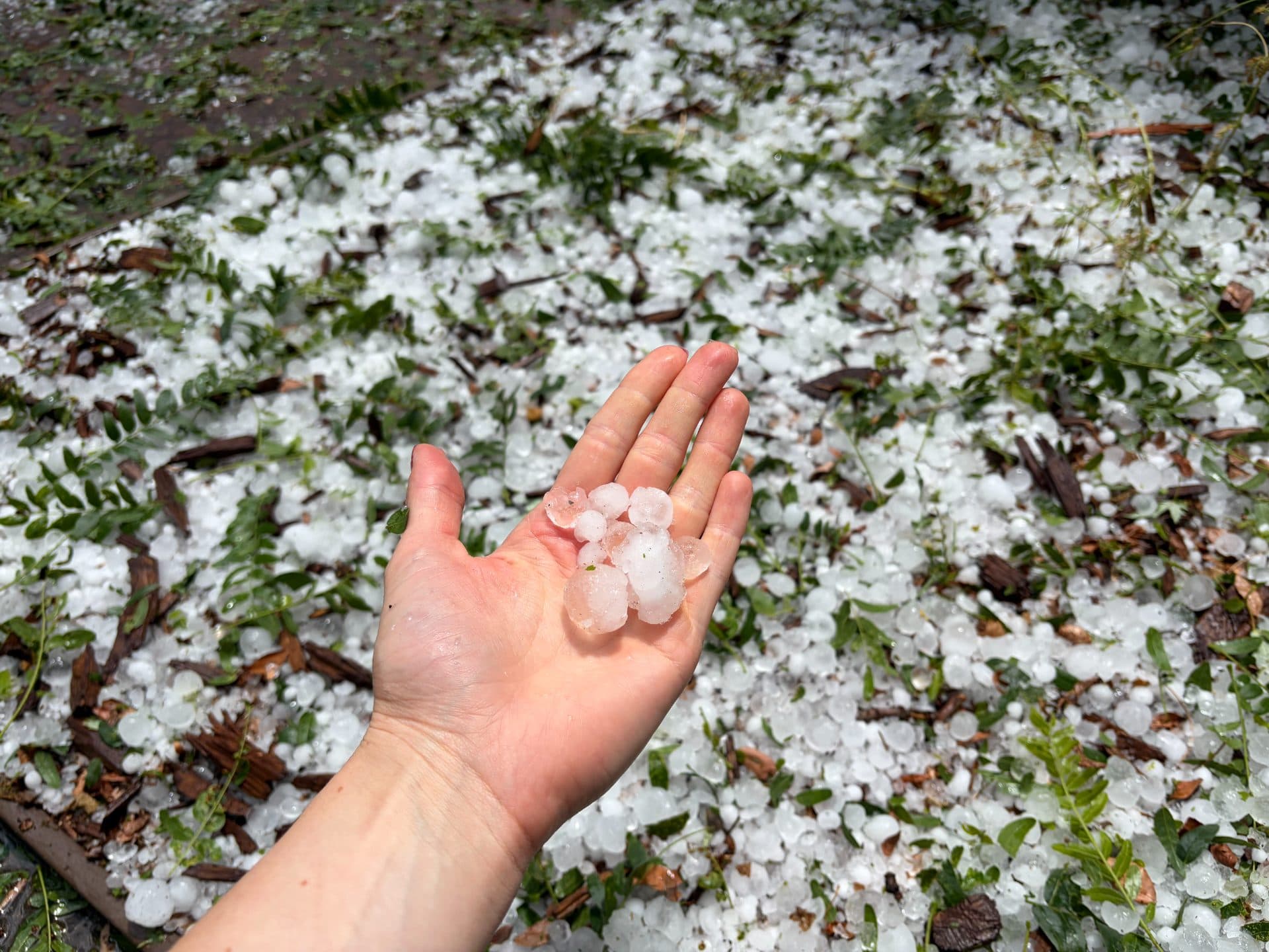 What Denver Homeowners Should Know After Today's Hailstorm